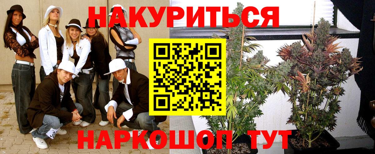 Саров  Канабис сатива  Конопля тримм  Марихуана план  Бошки Шишки план  Вход с VPN 